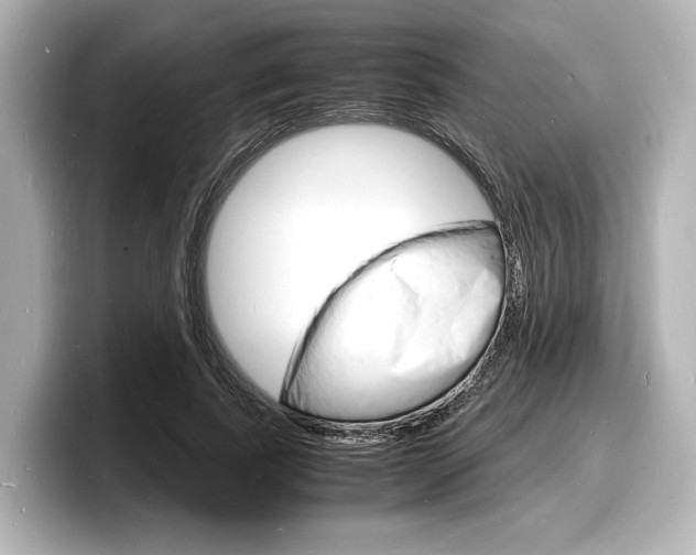 X0000098180739200804241030