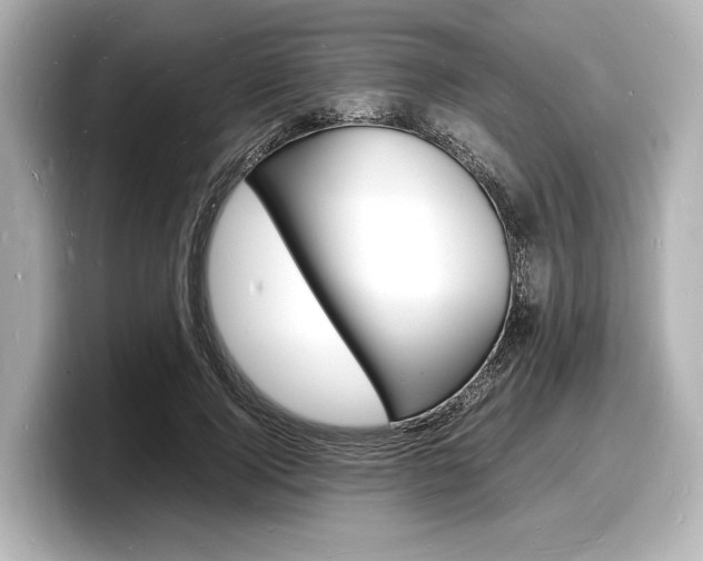X0000098180740200804241030