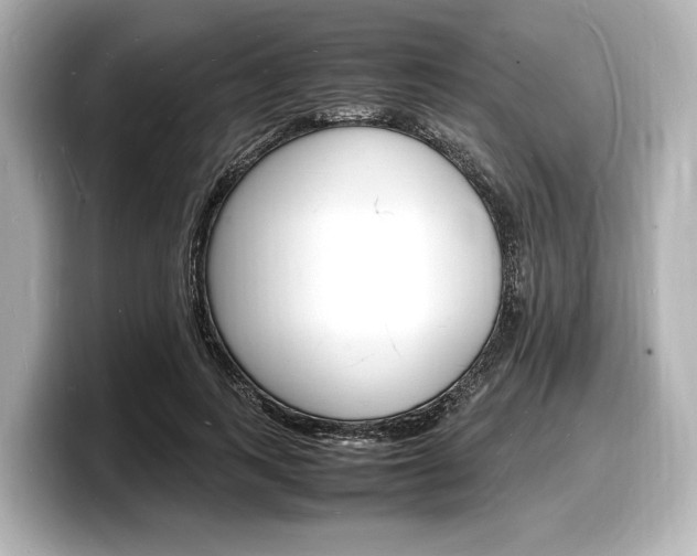 X0000098180743200804241030