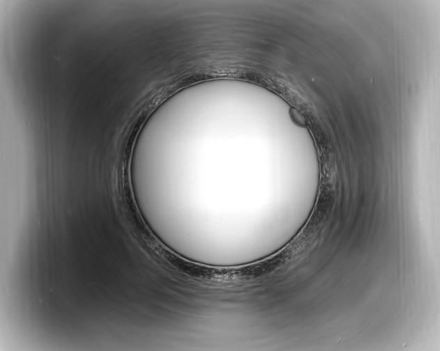 X0000098180744200804241030
