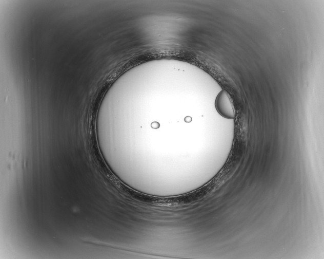 X0000098180746200804241030