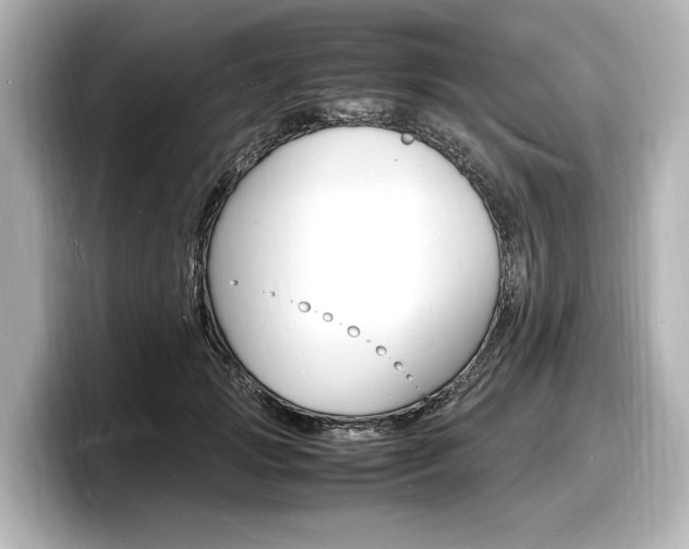X0000098180749200804241030