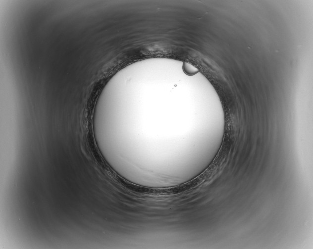 X0000098180751200804241030