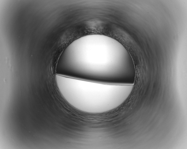 X0000098180752200804241030
