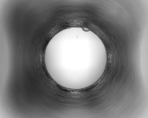 X0000098180753200804241030