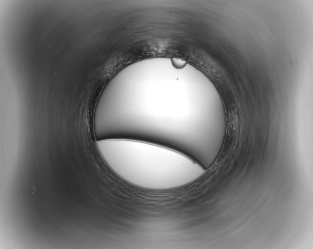 X0000098180754200804241030