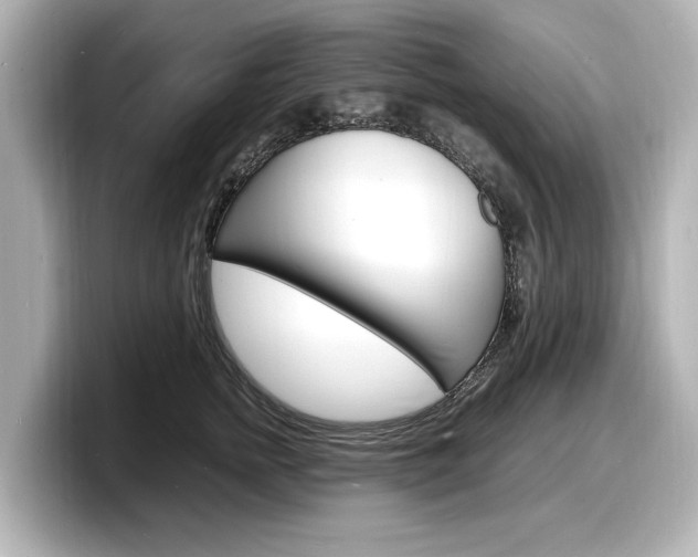 X0000098180758200804241030