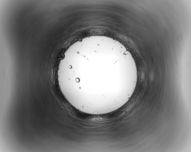 X0000098180759200804241030