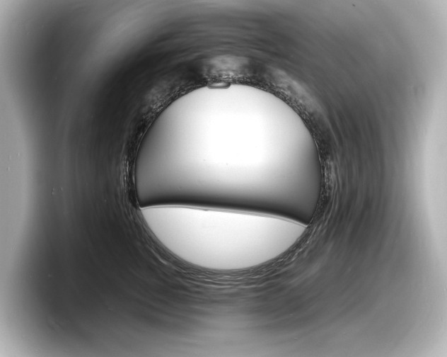 X0000098180760200804241030