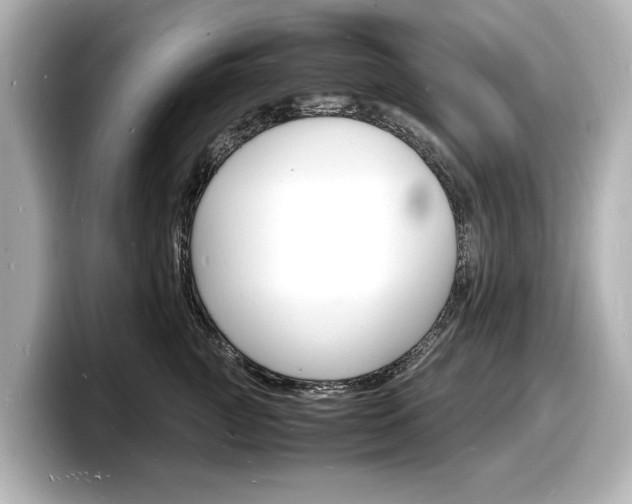X0000098180761200804241030