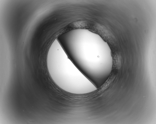 X0000098180762200804241030