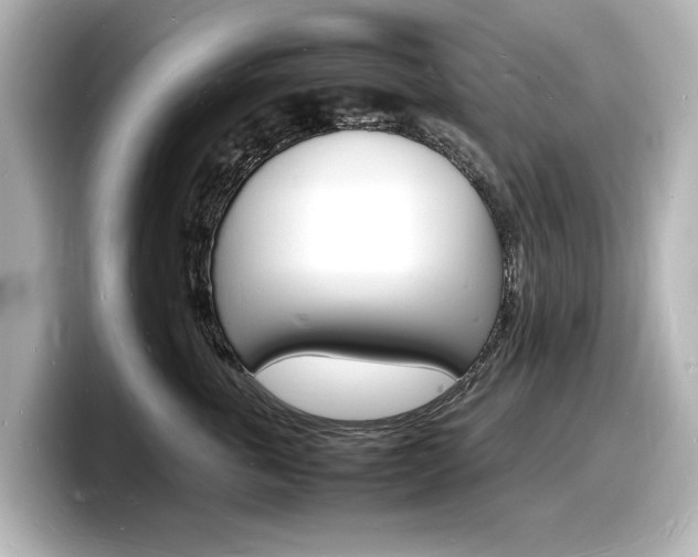 X0000098180763200804241030
