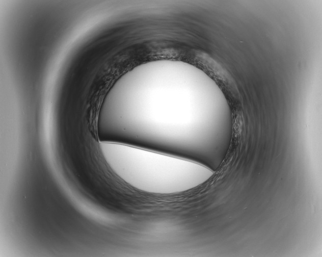 X0000098180764200804241030