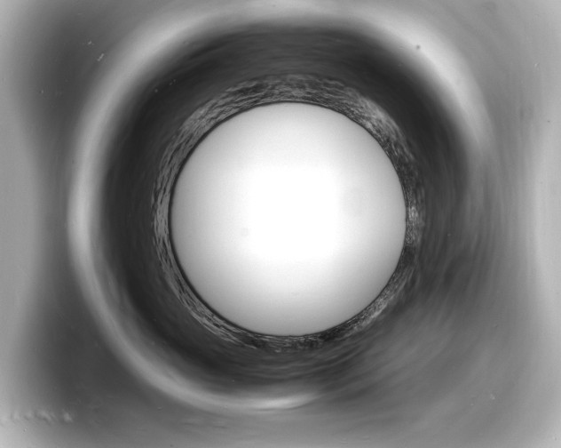 X0000098180765200804241030