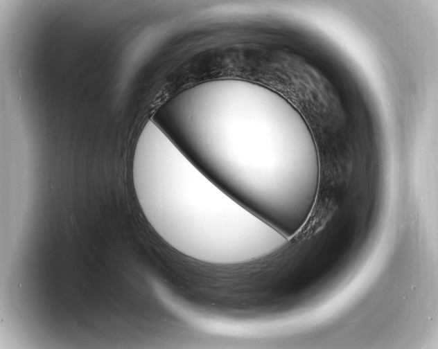 X0000098180766200804241030