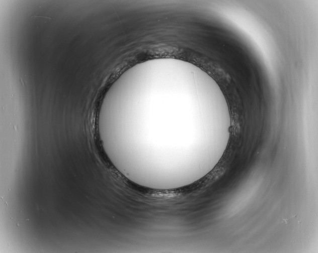 X0000098180767200804241030