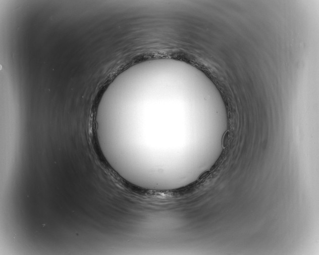 X0000098180768200804241030