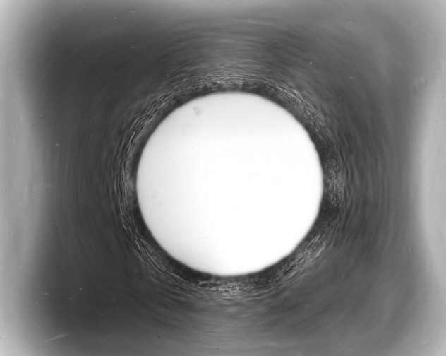 X0000098180769200804241029