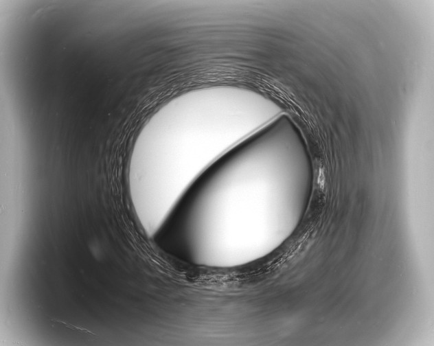 X0000098180771200804241029