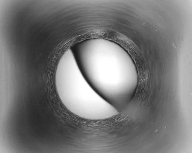 X0000098180773200804241029