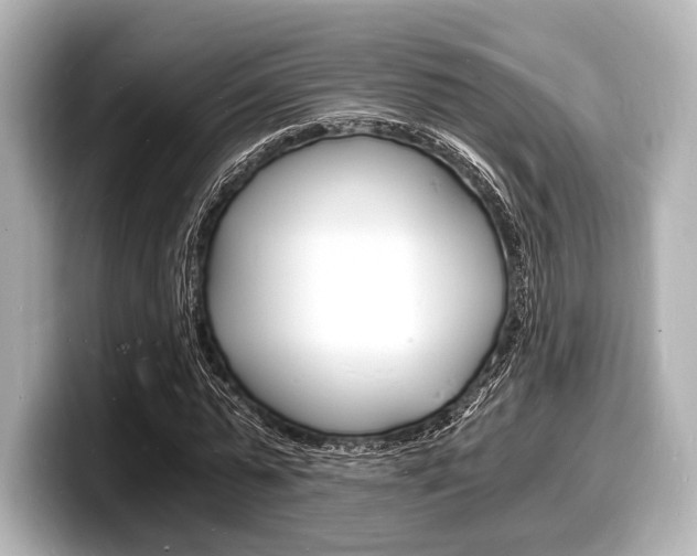 X0000098180775200804241029
