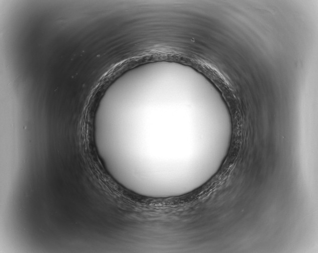 X0000098180776200804241029