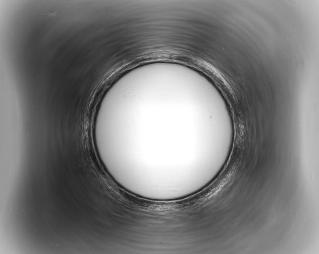 X0000098180778200804241029