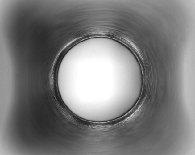 X0000098180779200804241029