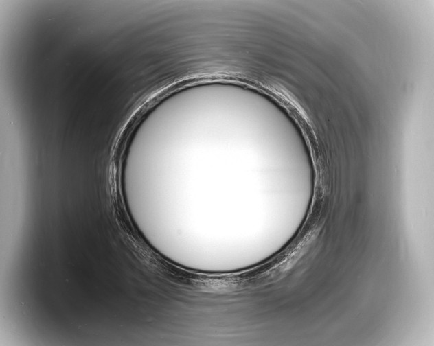 X0000098180781200804241029