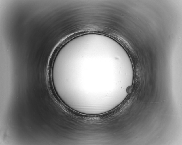 X0000098180784200804241029