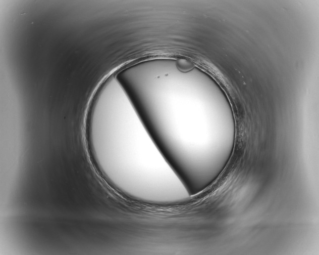 X0000098180787200804241029