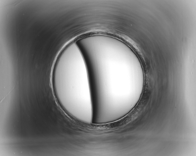 X0000098180791200804241029