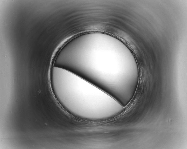 X0000098180796200804241029