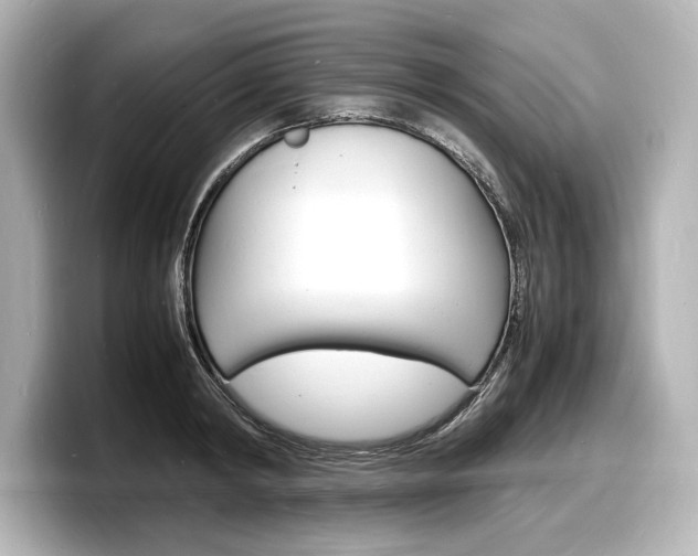 X0000098180798200804241029