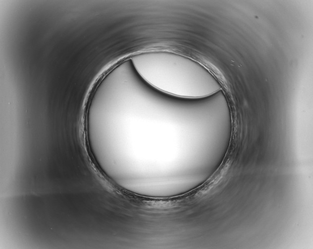 X0000098180800200804241029