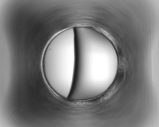 X0000098180803200804241029