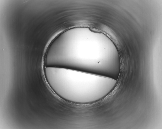 X0000098180804200804241029
