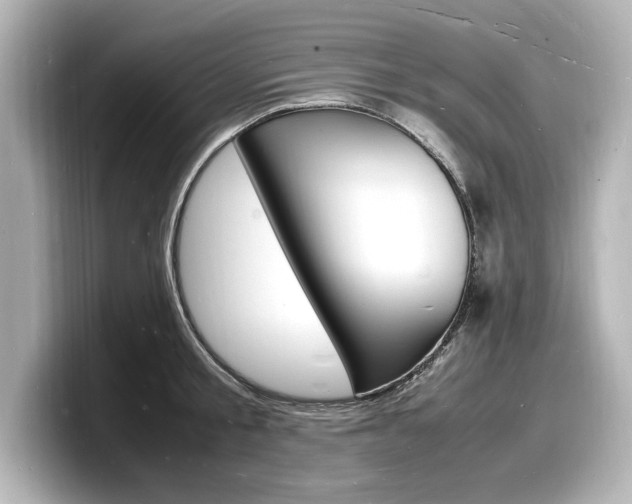 X0000098180805200804241029