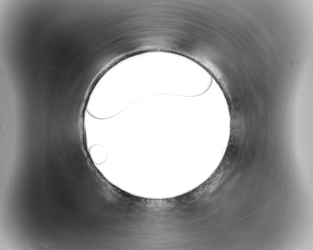 X0000098180807200804241029