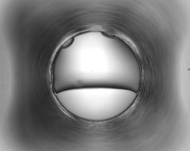 X0000098180808200804241029