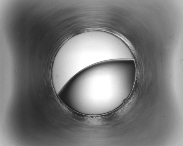 X0000098180809200804241029