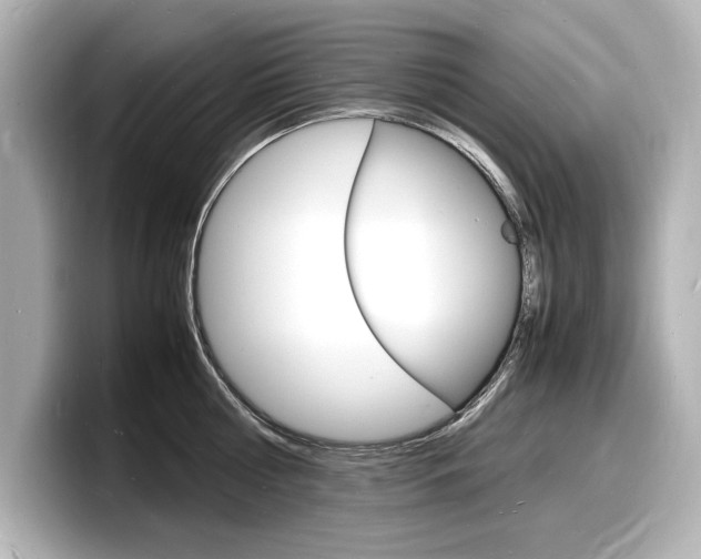 X0000098180810200804241029