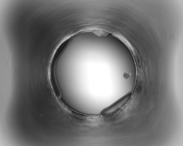 X0000098180813200804241029