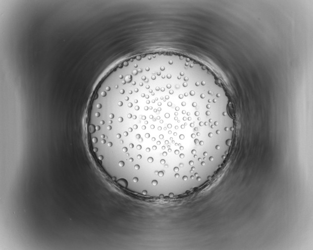X0000098180814200804241029