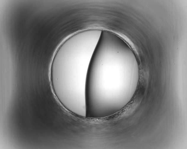 X0000098180815200804241029
