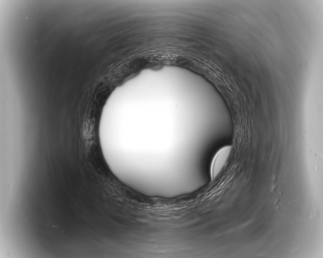 X0000098180818200804241028