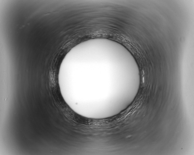 X0000098180819200804241028