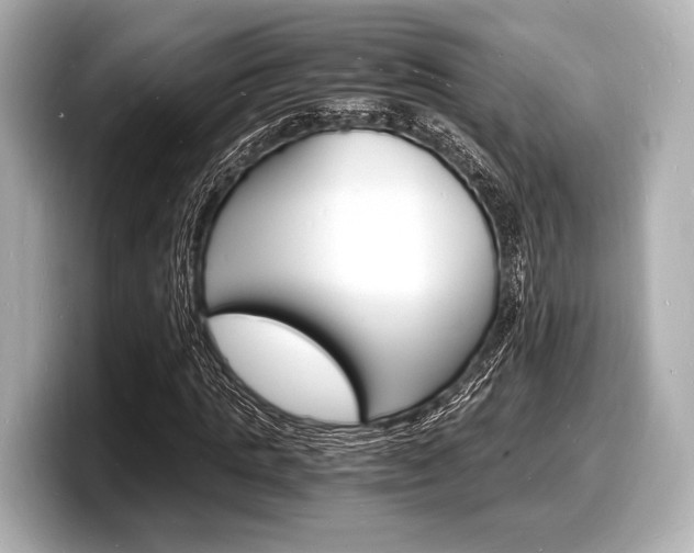 X0000098180821200804241028