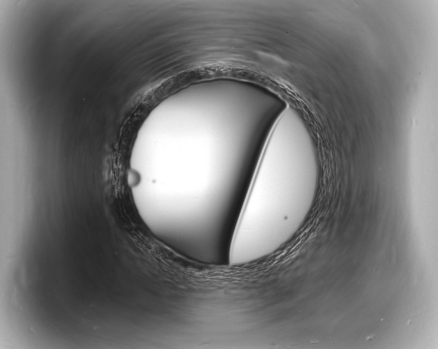 X0000098180822200804241028