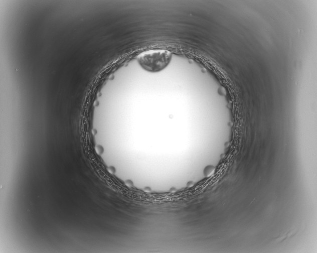 X0000098180824200804241028
